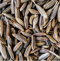Milk Thistle Seed Powder